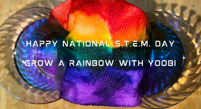 HAPPY NATIONAL S.T.E.M. DAY!