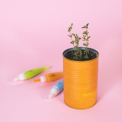 DIY Tin Can Planters for World Environment Day