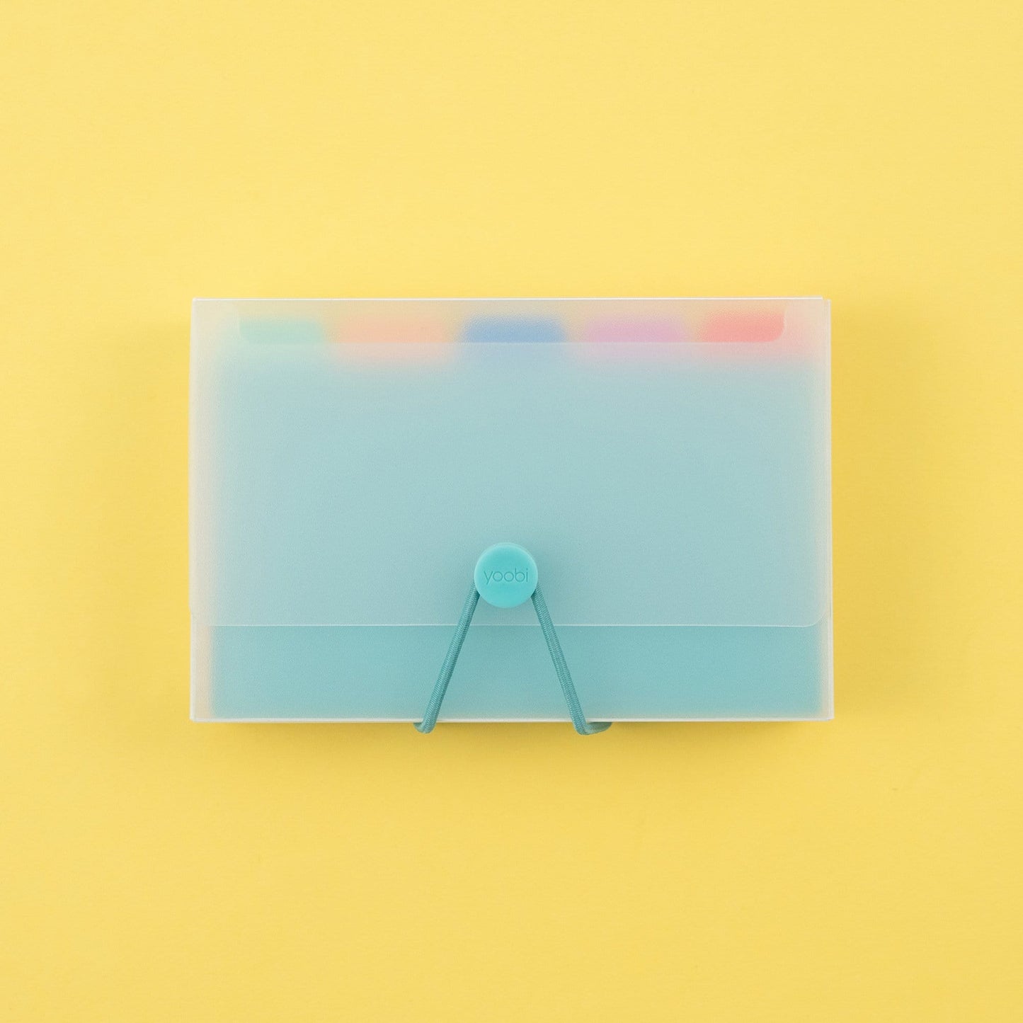 index card set showing clear plastic holder with mint elastic closure