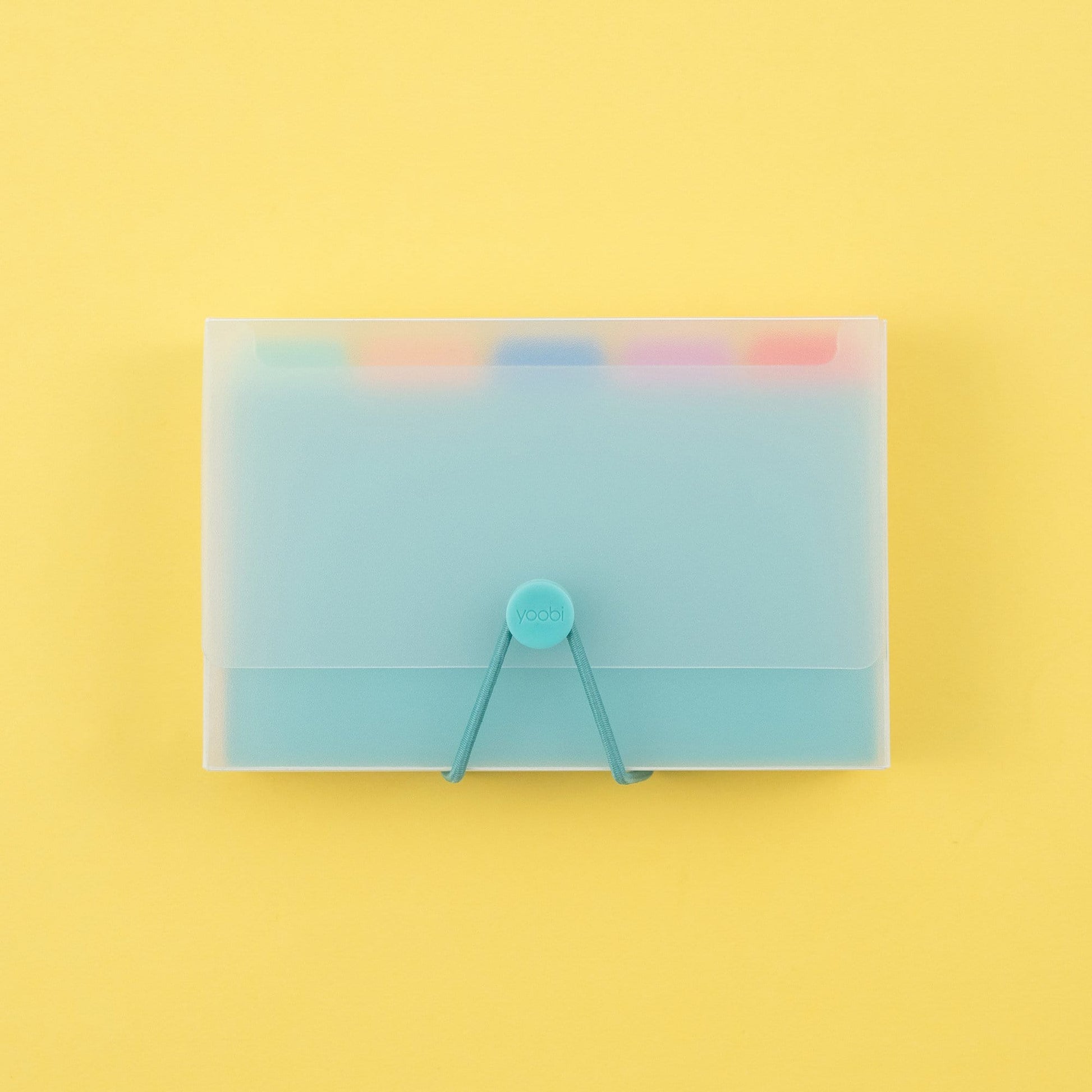 index card set showing clear plastic holder with mint elastic closure