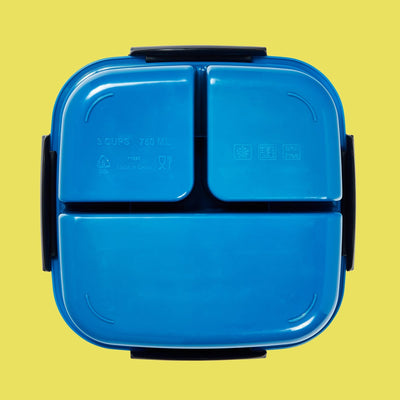 bottom of bento box, blue